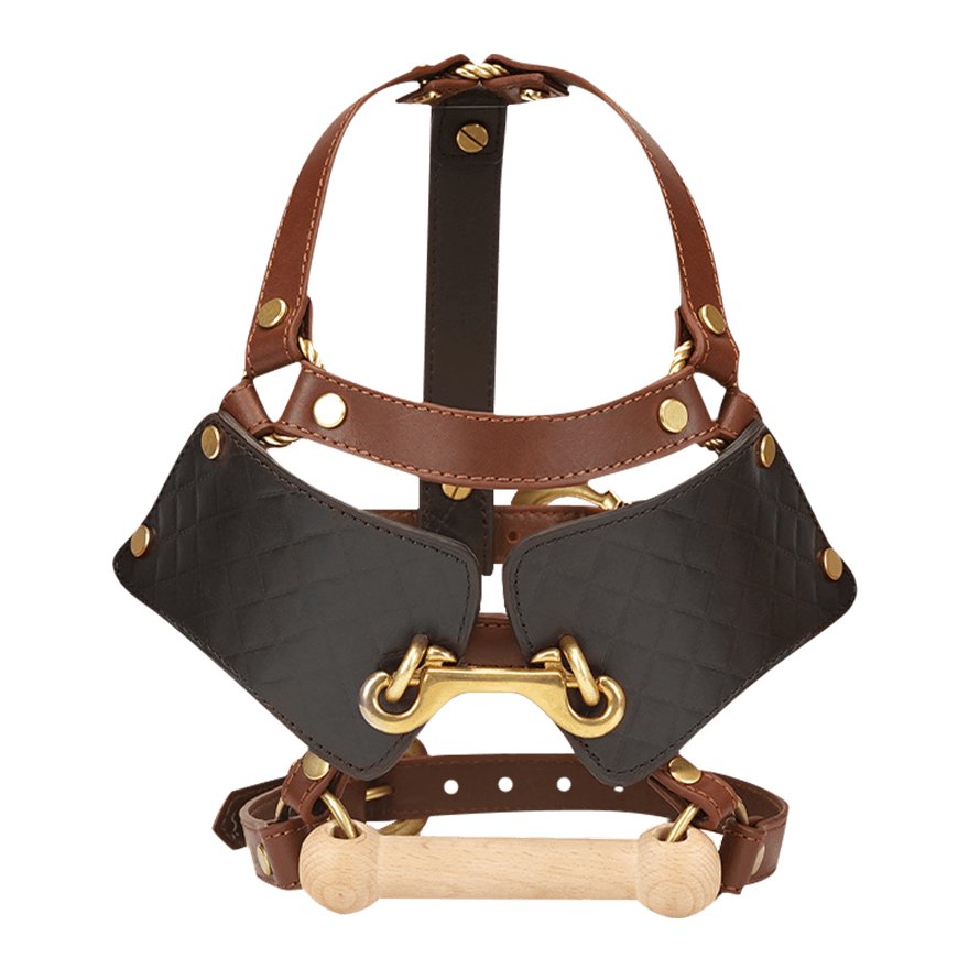 Kopfmaske mit Holzknebel