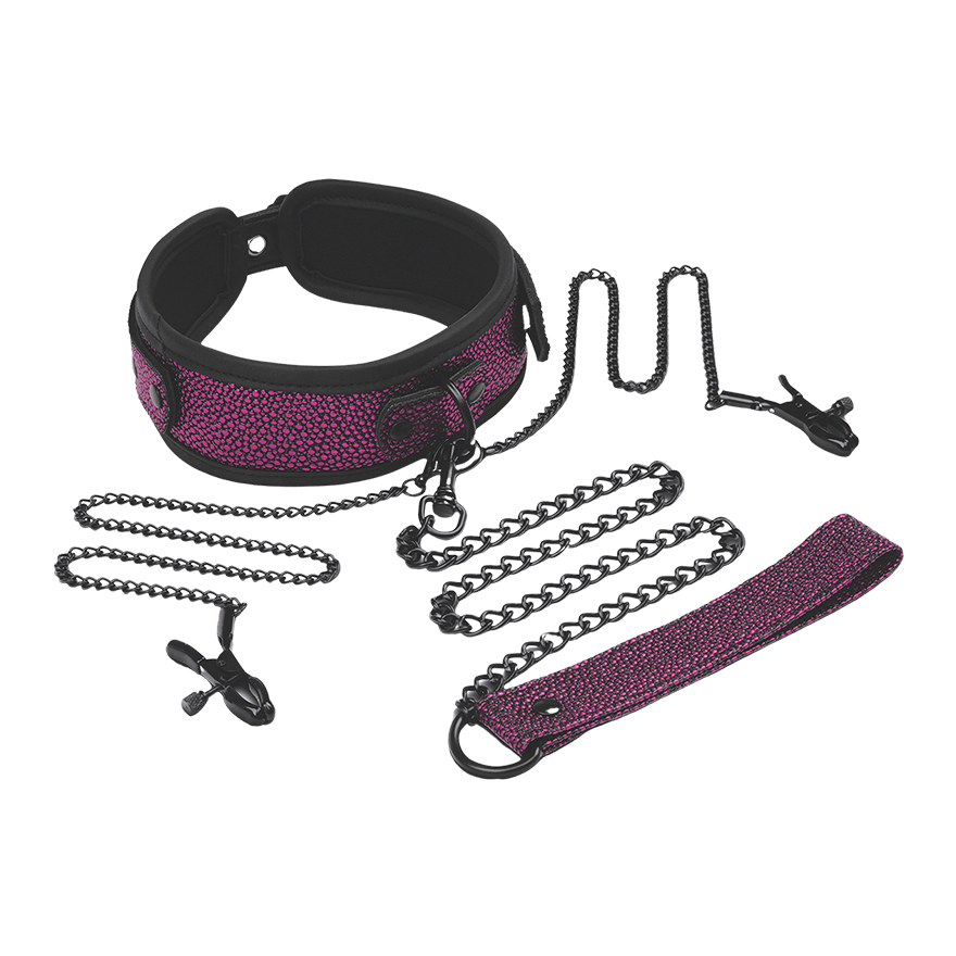 Collar, Leash & Nipple Clips Set