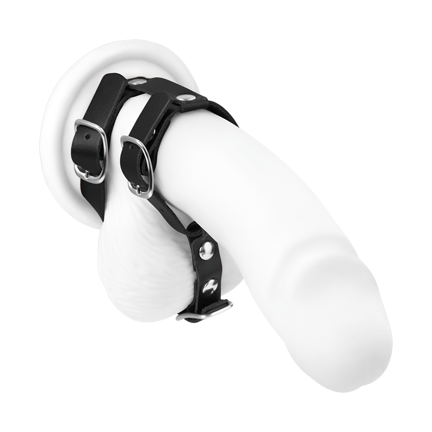 Penis- und Hodengurt aus Glattleder