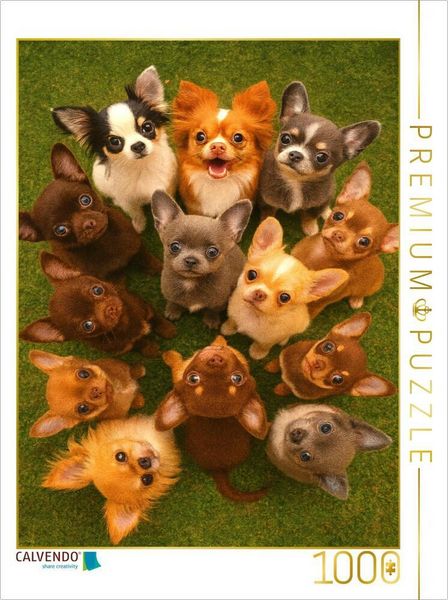 CALVENDO Puzzle Chihuahua Diamonds - Kleine Freunde mit großen Augen | 1000 Teile Lege-Größe 64x48cm Foto-Puzzle für glückliche Stunden