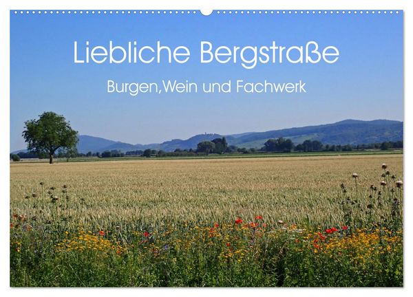 Liebliche Bergstraße - Burgen, Wein und Fachwerk (Wandkalender 2026 DIN A2 quer), CALVENDO Monatskalender