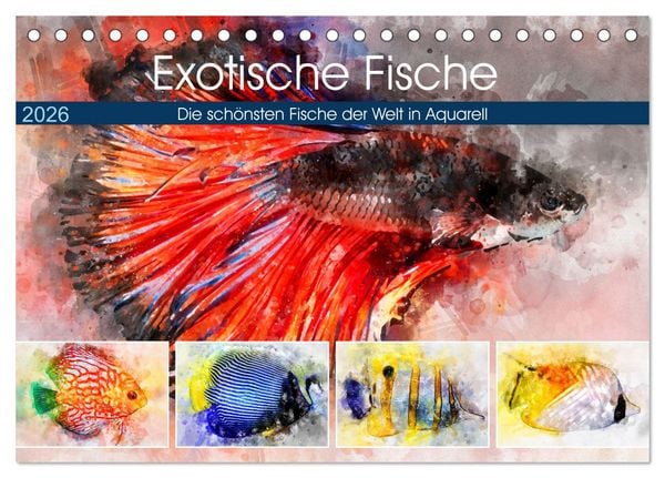 Exotische Fische - Die schönsten Fische der Welt in Aquarell (Tischkalender 2026 DIN A5 quer), CALVENDO Monatskalender