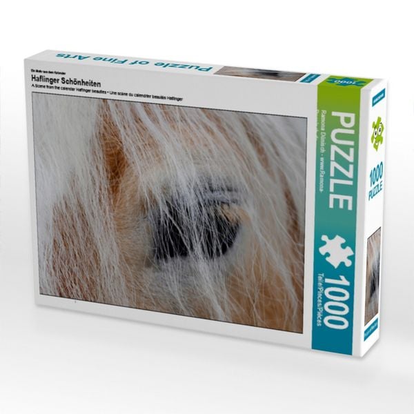 Ein Motiv aus dem Kalender Haflinger Schönheiten (Puzzle)