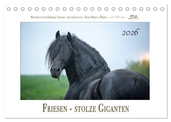Friesen - stolze Giganten (Tischkalender 2026 DIN A5 quer), CALVENDO Monatskalender