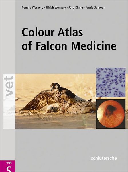 Colour Atlas of Falcon Medicine