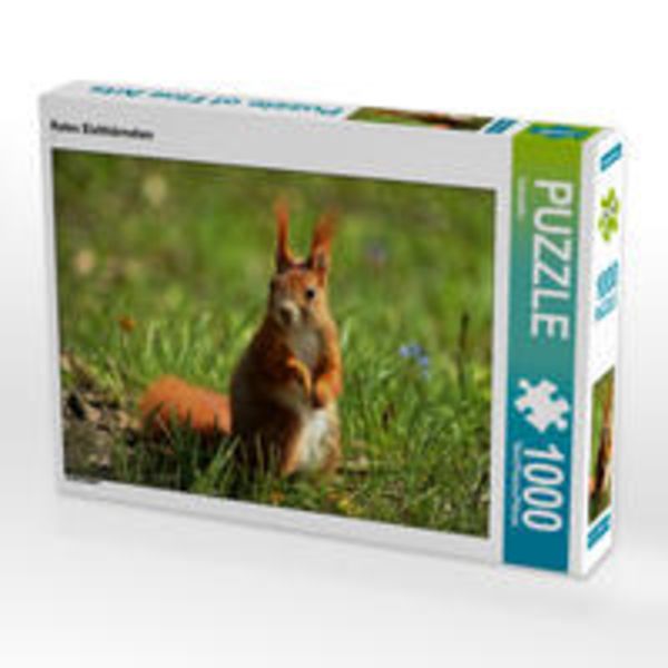 CALVENDO Puzzle Rotes Eichhörnchen 1000 Teile Lege-Größe 64 x 48 cm Foto-Puzzle Bild von Kattobello