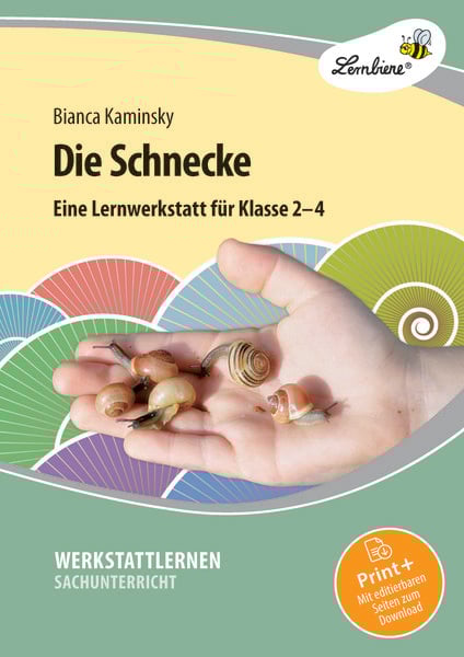Die Schnecke