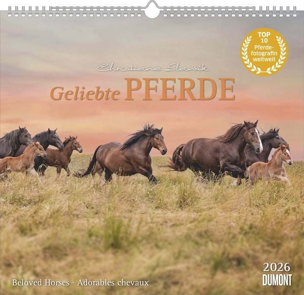 DUMONT - Geliebte Pferde 2026 – Wandkalender 38 x 36 cm – Pferdefotografie von Christiane Slawik für Pferdeliebhaber