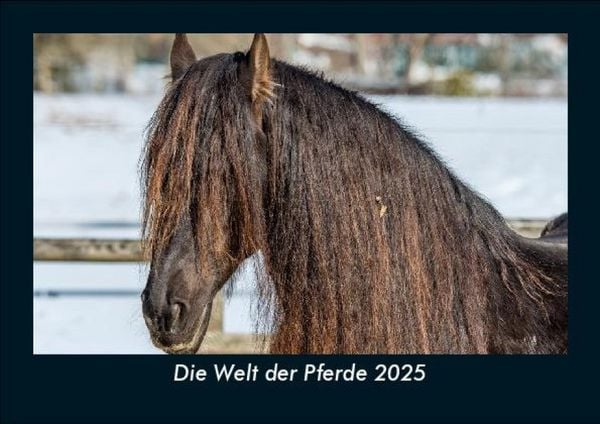 Die Welt der Pferde 2025 Fotokalender DIN A5