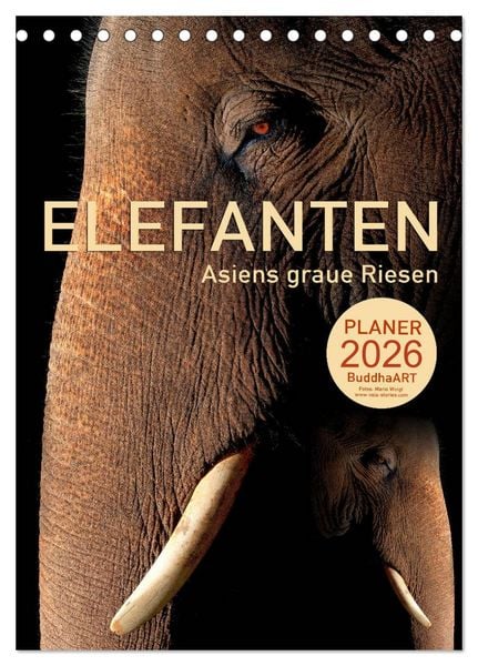 ELEFANTEN - Asiens graue Riesen (Tischkalender 2026 DIN A5 hoch), CALVENDO Monatskalender
