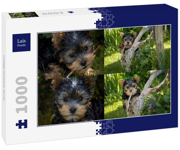 Lais Puzzle Collage Yorkshire Terrier 1000 Teile