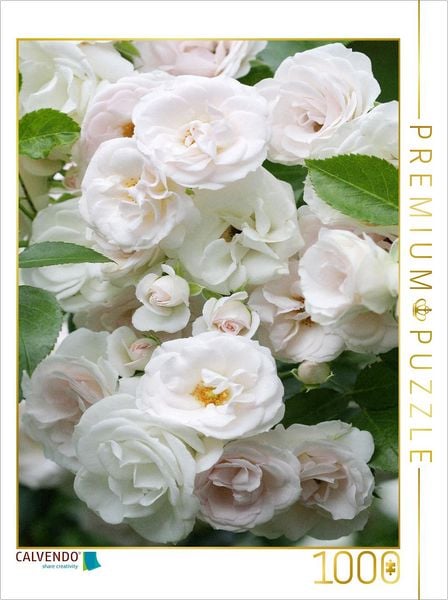 CALVENDO Puzzle Weiße Rosen | 1000 Teile Lege-Größe 64x48cm Foto-Puzzle für glückliche Stunden