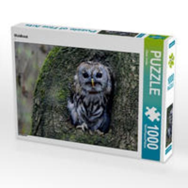 CALVENDO Puzzle Waldkauz 1000 Teile Lege-Größe 64 x 48 cm Foto-Puzzle Bild von Diane Jordan