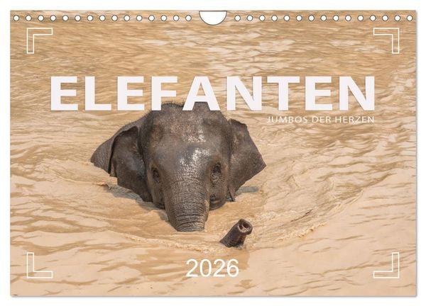 ELEFANTEN Jumbos der Herzen (Wandkalender 2026 DIN A4 quer), CALVENDO Monatskalender