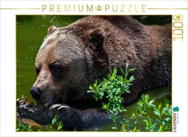 CALVENDO Puzzle Brot und Spiele | 1000 Teile Lege-Größe 64x48cm Foto-Puzzle für glückliche Stunden