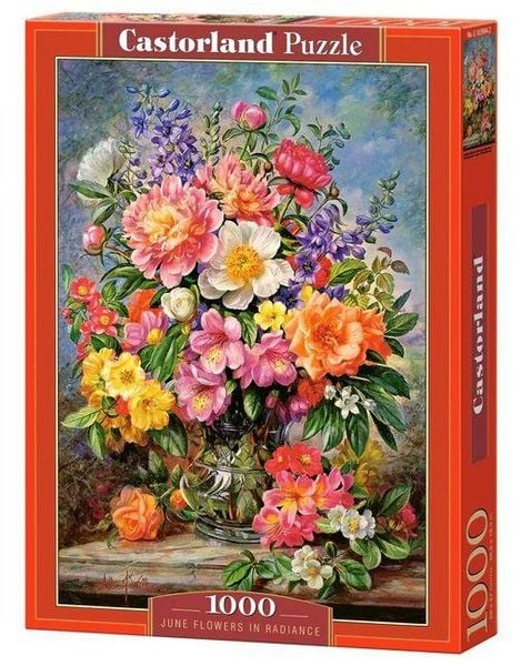 Castorland 1000 Piece Jigsaw Puzzle, June Flowers in Radiance, Flower and Plants Puzzle, Painting Puzzle, Adult Puzzles, Castorland C-103904-2