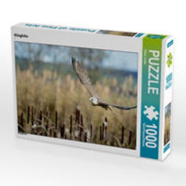 CALVENDO Puzzle Würgfalke 1000 Teile Lege-Größe 64 x 48 cm Foto-Puzzle Bild von Diane Jordan