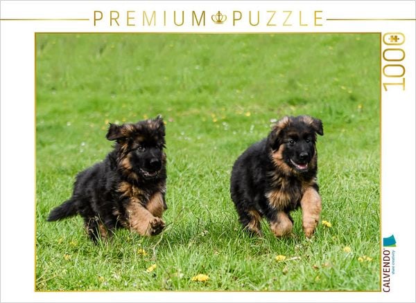 CALVENDO Puzzle Lauf um die Wette | 1000 Teile Lege-Größe 64x48cm Foto-Puzzle für glückliche Stunden