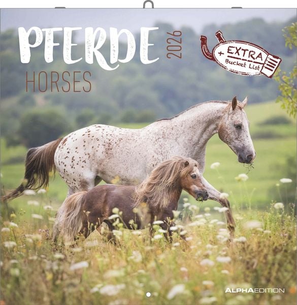 Pferde 2026 - Broschürenkalender 30x30 cm (30x60 geöffnet) - Kalender mit Platz für Notizen - Horses - Bildkalender - Wandplaner - Pferdekalender