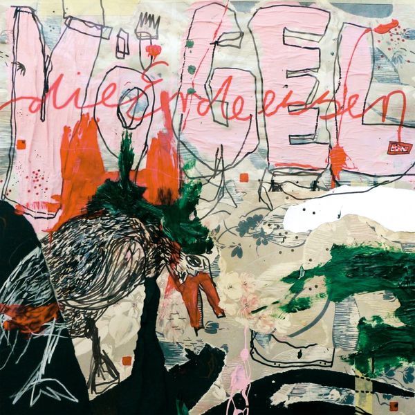 Vögel die Erde Essen