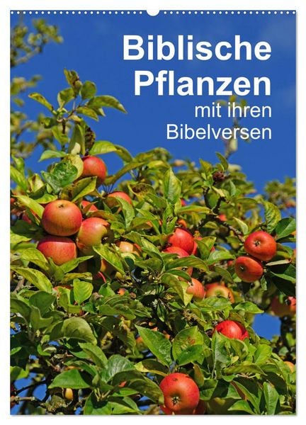 Biblische Pflanzen mit ihren Bibelversen (Wandkalender 2026 DIN A2 hoch), CALVENDO Monatskalender