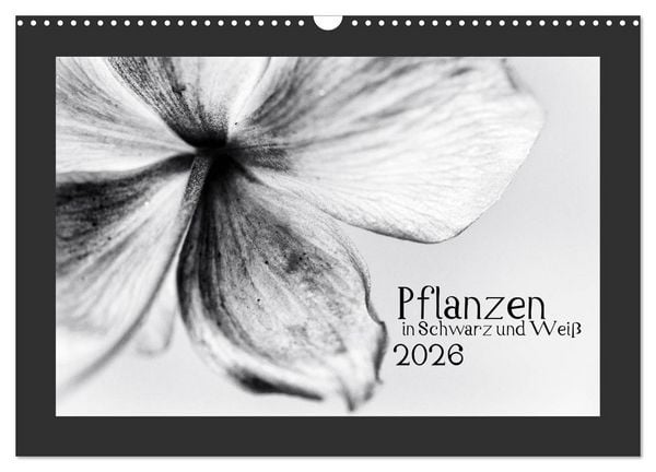 Pflanzen in Schwarz und Weiß (Wandkalender 2026 DIN A3 quer), CALVENDO Monatskalender