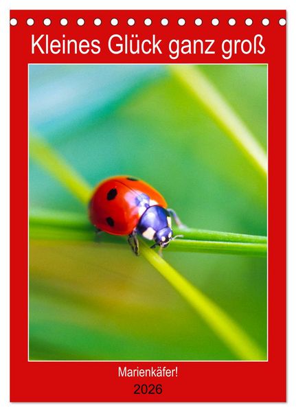 Kleines Glück ganz groß: Marienkäfer! (Tischkalender 2026 DIN A5 hoch), CALVENDO Monatskalender