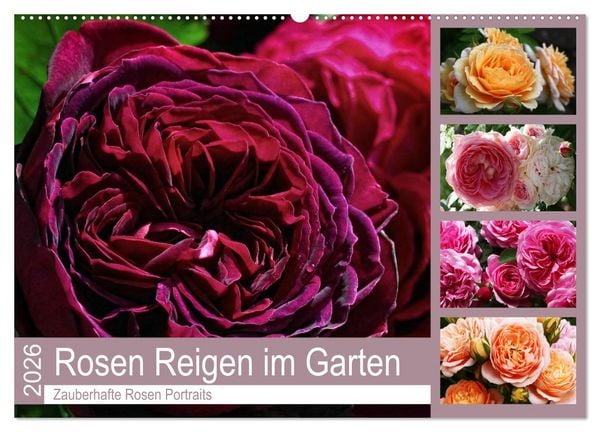 Rosen Reigen im Garten (Wandkalender 2026 DIN A2 quer), CALVENDO Monatskalender