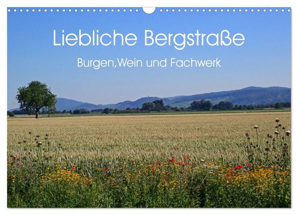 Liebliche Bergstraße - Burgen, Wein und Fachwerk (Wandkalender 2026 DIN A3 quer), CALVENDO Monatskalender