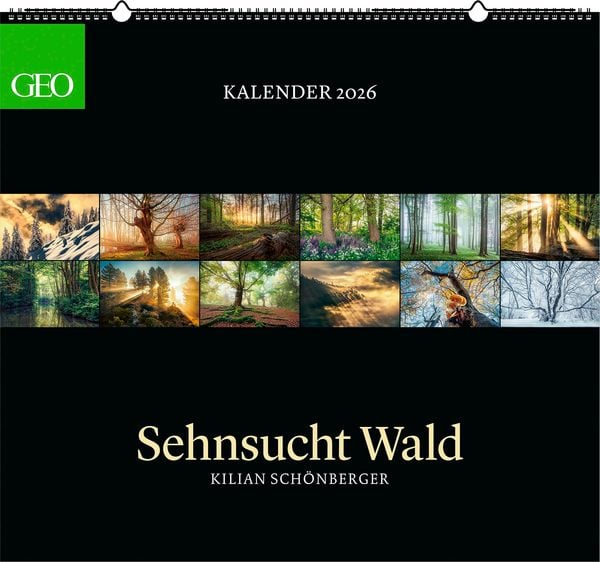 GEO Kalender: Sehnsucht Wald 2026 - Wand-Kalender - Natur-Kalender - 60x55