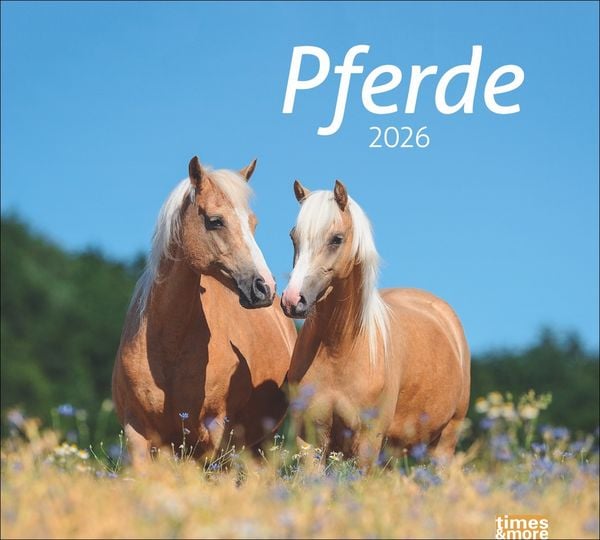 Times&more Pferde Bildkalender 2026
