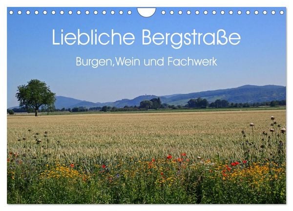 Liebliche Bergstraße - Burgen, Wein und Fachwerk (Wandkalender 2026 DIN A4 quer), CALVENDO Monatskalender