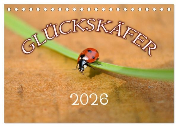 Marienkäfer 2026 (Tischkalender 2026 DIN A5 quer), CALVENDO Monatskalender