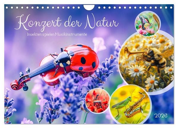 Konzert der Natur - Insekten spielen Musikinstrumente (Wandkalender 2026 DIN A4 quer), CALVENDO Monatskalender