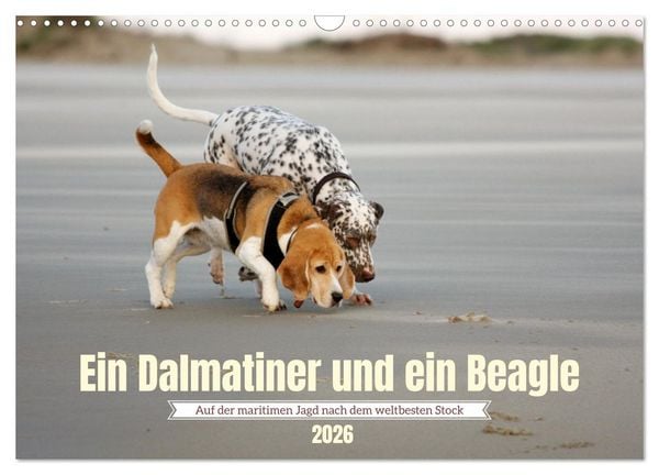 Ein Dalmatiner und ein Beagle - Auf der maritimen Jagd nach dem weltbesten Stock (Wandkalender 2026 DIN A3 quer), CALVENDO Monatskalender