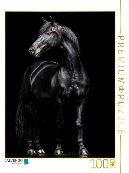 CALVENDO Puzzle Schwarze Eleganz - Pferde Rappe | 1000 Teile Lege-Größe 64x48cm Foto-Puzzle für glückliche Stunden