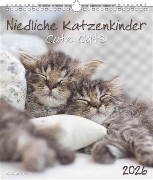 Niedliche Katzenkinder 2026 - Wand-Kalender - Tier-Kalender - 30x34