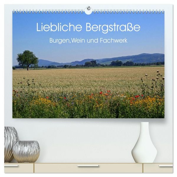 Liebliche Bergstraße - Burgen, Wein und Fachwerk (hochwertiger Premium Wandkalender 2026 DIN A2 quer), Kunstdruck in Hochglanz