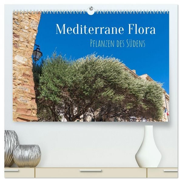 Mediterrane Flora - Pflanzen des Südens (hochwertiger Premium Wandkalender 2026 DIN A2 quer), Kunstdruck in Hochglanz