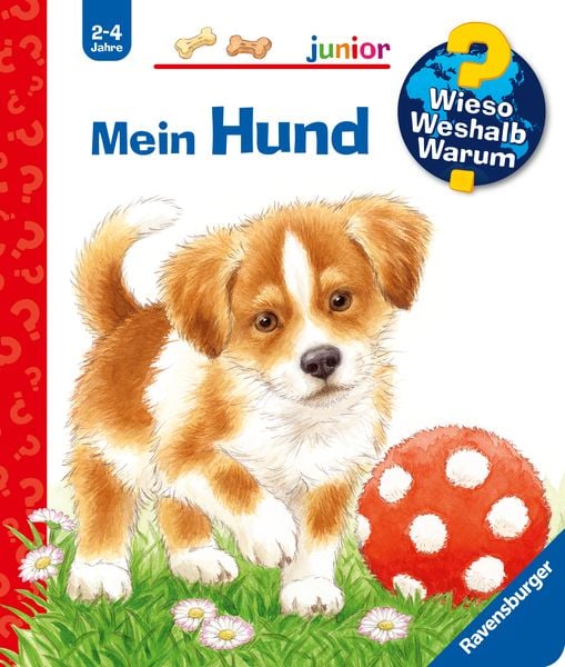 Mein Hund / Wieso? Weshalb? Warum? Junior Bd. 41