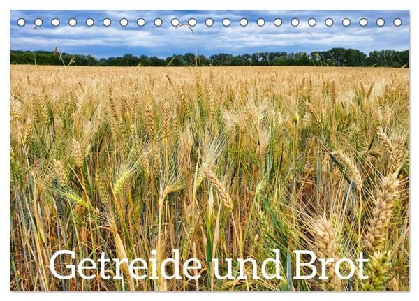 Getreide und Brot (Tischkalender 2026 DIN A5 quer), CALVENDO Monatskalender