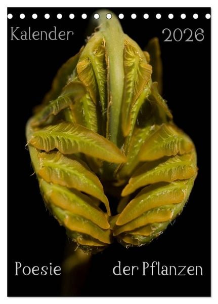 Poesie der Pflanzen (Tischkalender 2026 DIN A5 hoch), CALVENDO Monatskalender
