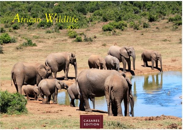 Wilde Tiere Afrikas Kalender 2026 – Wandkalender | Fotokalender Afrika 24x35cm | Naturfotografie | Tierkalender Afrika | Geschenk für Naturliebhaber