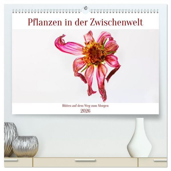 Pflanzen in der Zwischenwelt (hochwertiger Premium Wandkalender 2026 DIN A2 quer), Kunstdruck in Hochglanz