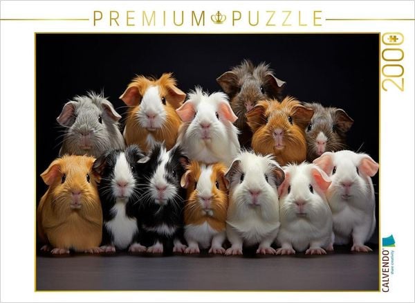 CALVENDO Puzzle Meerschweinchen übereinander | 2000 Teile Lege-Größe 90x67cm Foto-Puzzle für glückliche Stunden