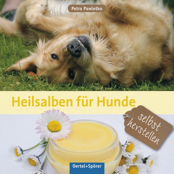 Heilsalben für Hunde selbst herstellen