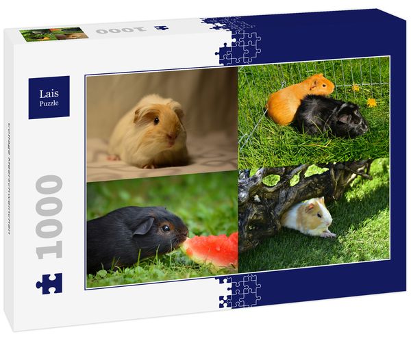 Lais Puzzle Collage Meerschweinchen 1000 Teile