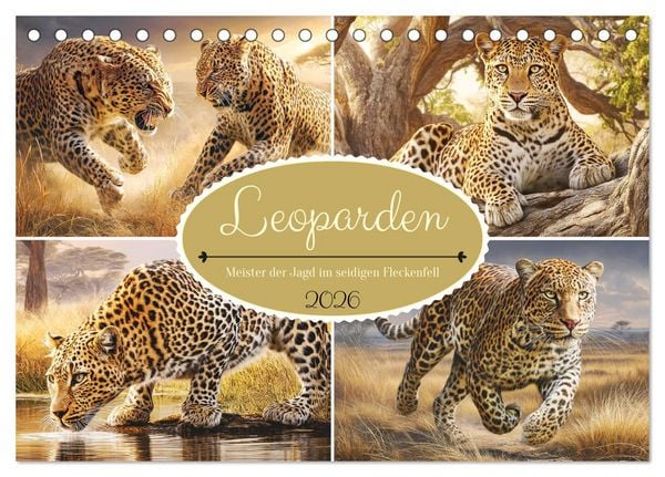 Leoparden. Meister der Jagd im seidigen Fleckenfell (Tischkalender 2026 DIN A5 quer), CALVENDO Monatskalender