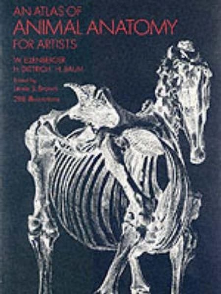 An Atlas of Animal Anatomy for Artists