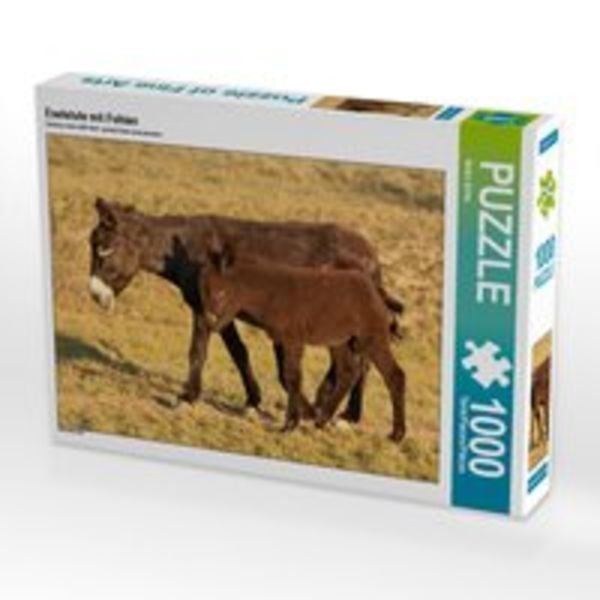 CALVENDO Puzzle Eselstute mit Fohlen 1000 Teile Lege-Größe 64 x 48 cm Foto-Puzzle Bild von Meike Bölts